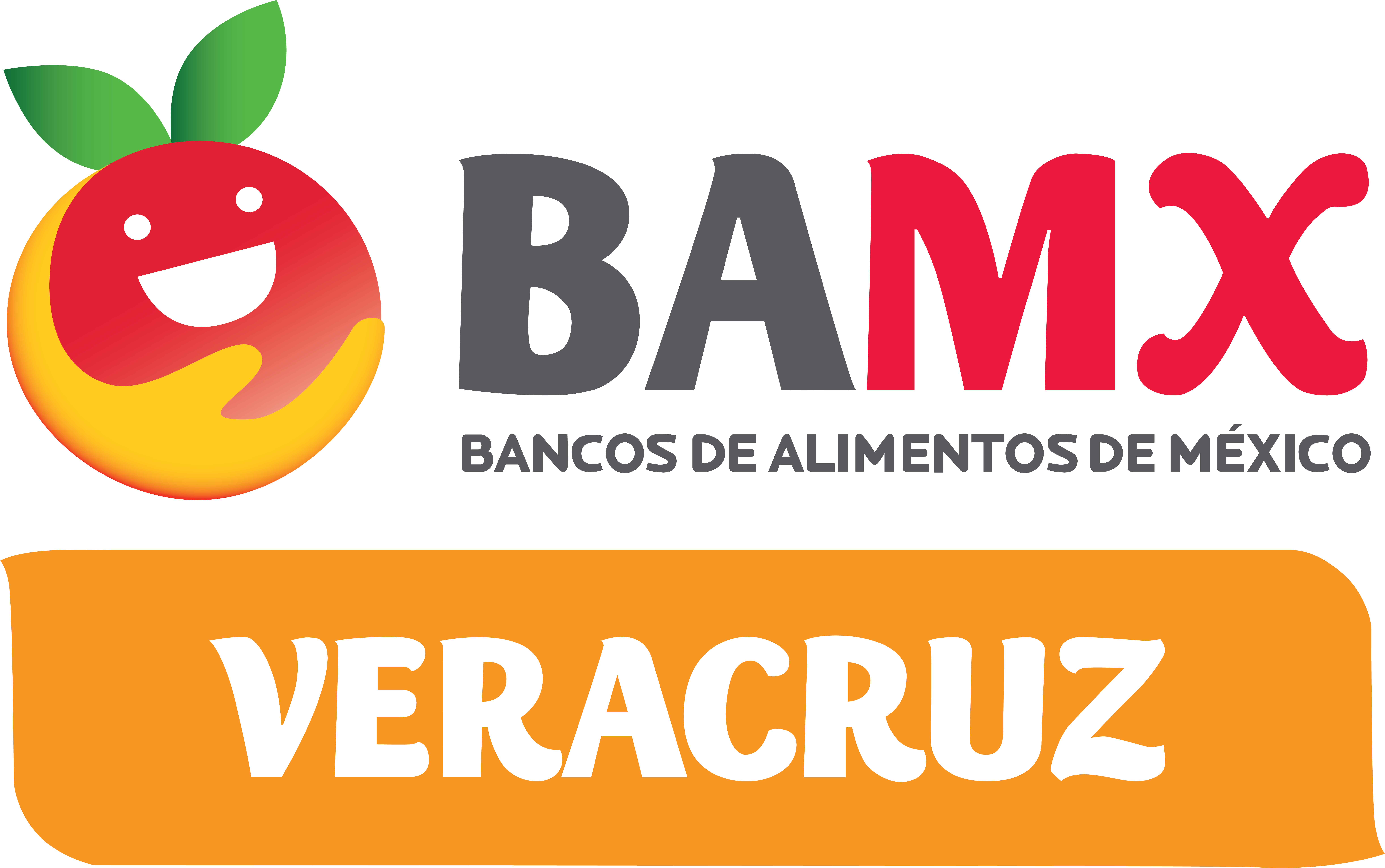BAV: Banco de Alimentos de Veracruz